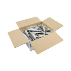 Tweed Bait IQF WA Pilchards 4kg