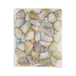 Tweed Bait Pipis In Shell 400g