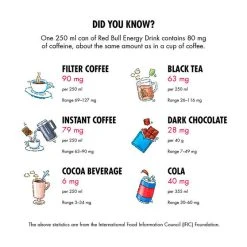 Red Bull Energy Drink 473mL -Franklin Outlet Store BCF 526282 02 hi res