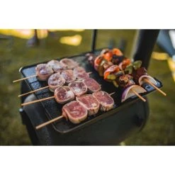 Ozpig Traveller Wood Fired Stove -Franklin Outlet Store BCF 580536 09 hi res