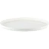 Palm Unbreakable Nonslip Dinner Plate
