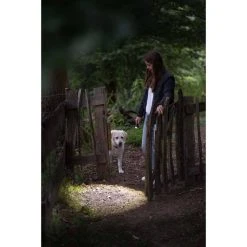 Ledlenser P5R Core Torch -Franklin Outlet Store BCF 603305 07 hi res