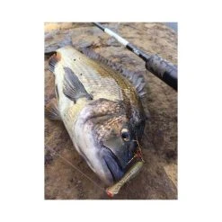 BKK Striker Assist Hook