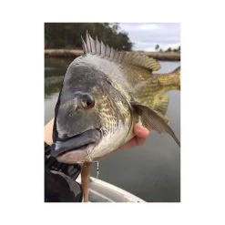 BKK Chimera Weedless Worm Hook