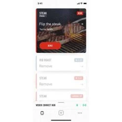Weber Connect Smart BBQing Hub -Franklin Outlet Store BCF 609424 05 hi res