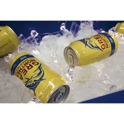 Wanderer Cooler Lights -Franklin Outlet Store BCF 614219 03 hi res