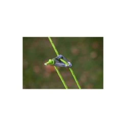 Zempire Tough Guy Guy Rope 4 Pack -Franklin Outlet Store BCF 643805 02 hi res